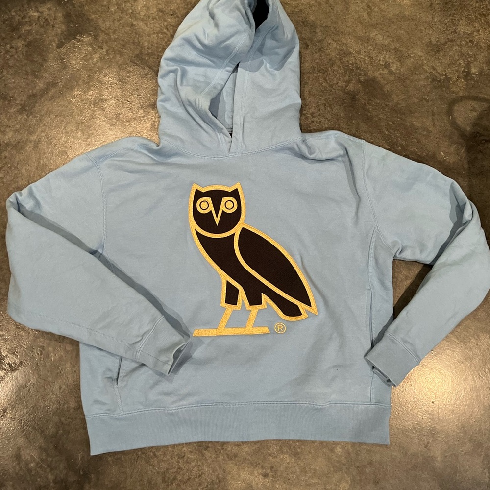 Blue Hoodie with Owl Logo